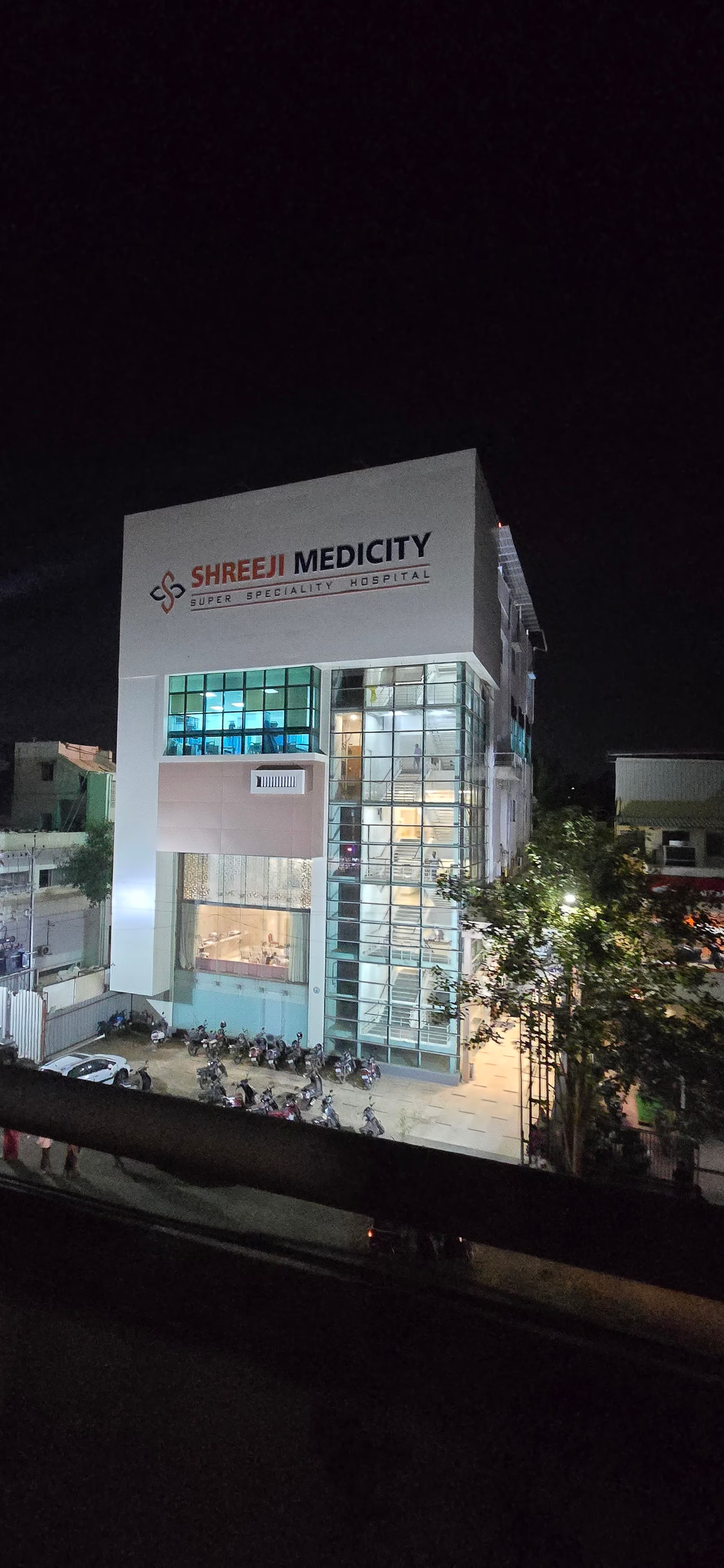 Mistletoe Therapy at IIIO